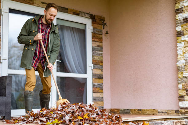 Best Basement Cleanout Services  in Rossmoyne, OH